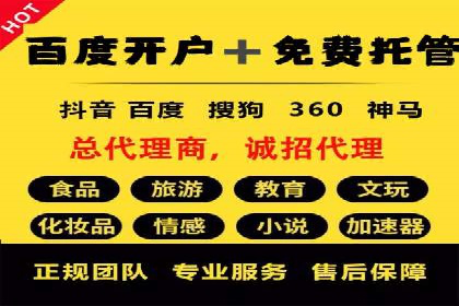 某品牌SEM广告投放的ROI提升案例